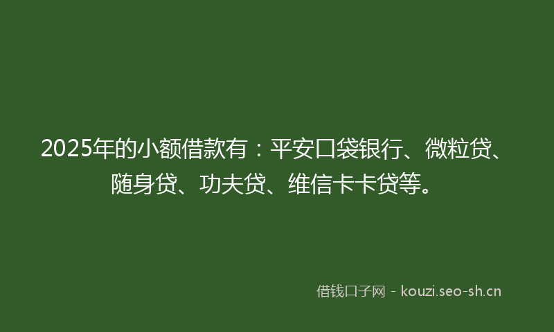 2025年的小额借款有：平安口袋银行、微粒贷、随身贷、功夫贷、维信卡卡贷等。