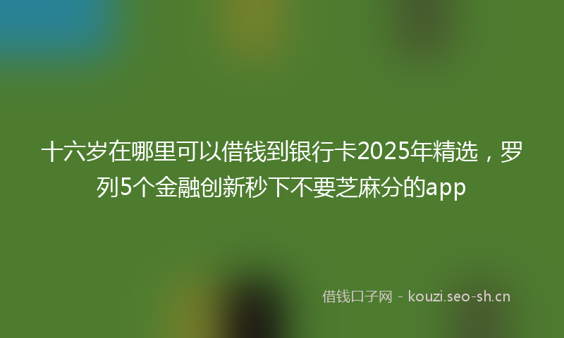 十六岁在哪里可以借钱到银行卡2025年精选，罗列5个金融创新秒下不要芝麻分的app