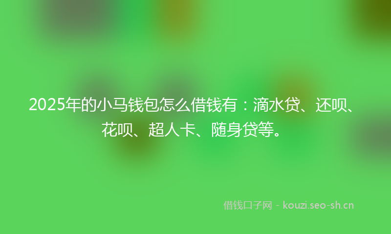 2025年的小马钱包怎么借钱有：滴水贷、还呗、花呗、超人卡、随身贷等。