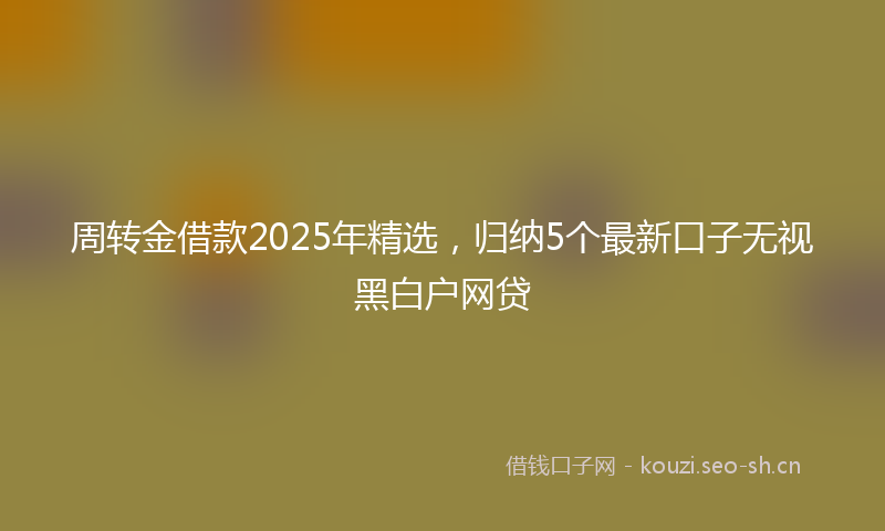 周转金借款2025年精选，归纳5个最新口子无视黑白户网贷