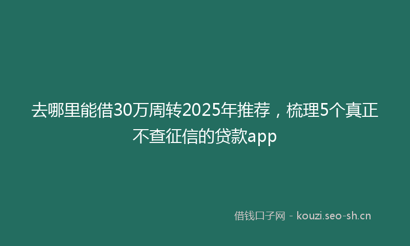 去哪里能借30万周转2025年推荐，梳理5个真正不查征信的贷款app
