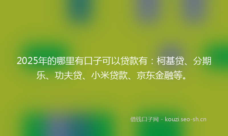 2025年的哪里有口子可以贷款有：柯基贷、分期乐、功夫贷、小米贷款、京东金融等。