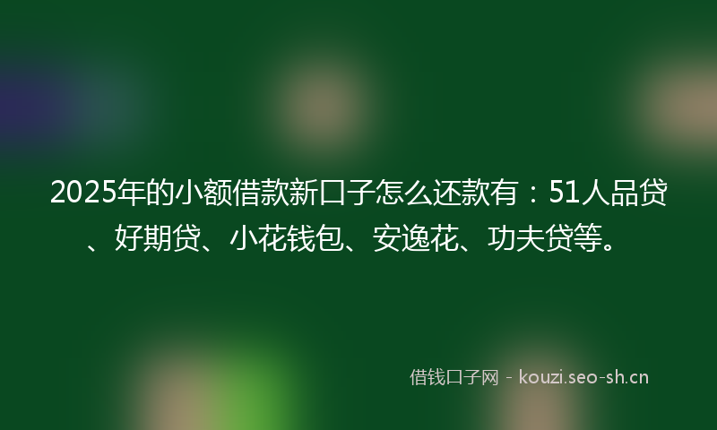 2025年的小额借款新口子怎么还款有:51人品贷、好期贷、小花钱包、安逸花、功夫贷等。