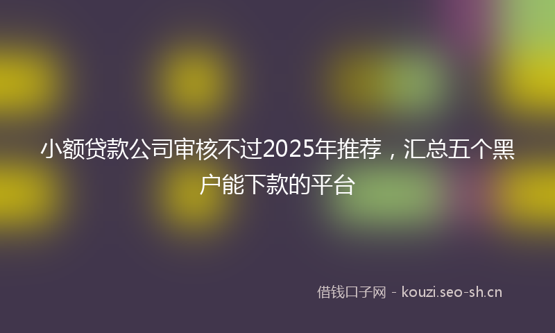 小额贷款公司审核不过2025年推荐，汇总五个黑户能下款的平台