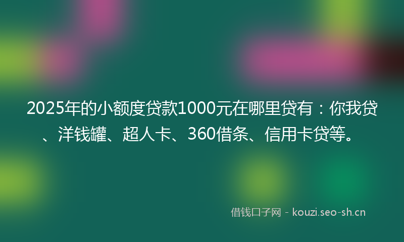 2025年的小额度贷款1000元在哪里贷有：你我贷、洋钱罐、超人卡、360借条、信用卡贷等。