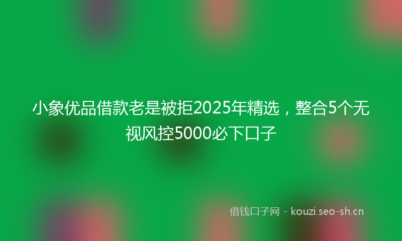 小象优品借款老是被拒2025年精选，整合5个无视风控5000必下口子