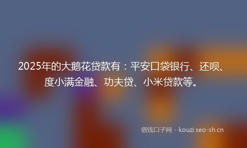 2025年的大鹅花贷款有：平安口袋银行、还呗、度小满金融、功夫贷、小米贷款等。