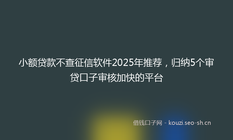 小额贷款不查征信软件2025年推荐，归纳5个审贷口子审核加快的平台