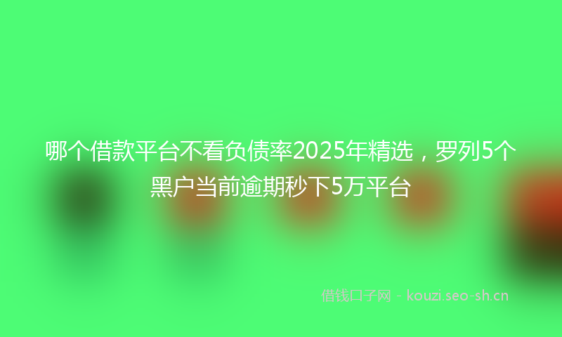 哪个借款平台不看负债率2025年精选，罗列5个黑户当前逾期秒下5万平台