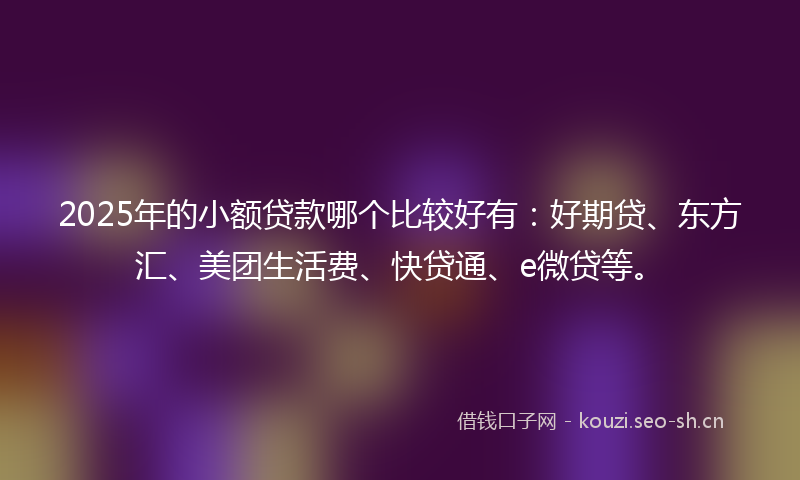 2025年的小额贷款哪个比较好有：好期贷、东方汇、美团生活费、快贷通、e微贷等。