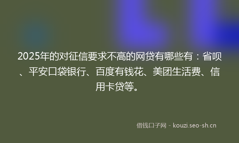 2025年的对征信要求不高的网贷有哪些有：省呗、平安口袋银行、百度有钱花、美团生活费、信用卡贷等。