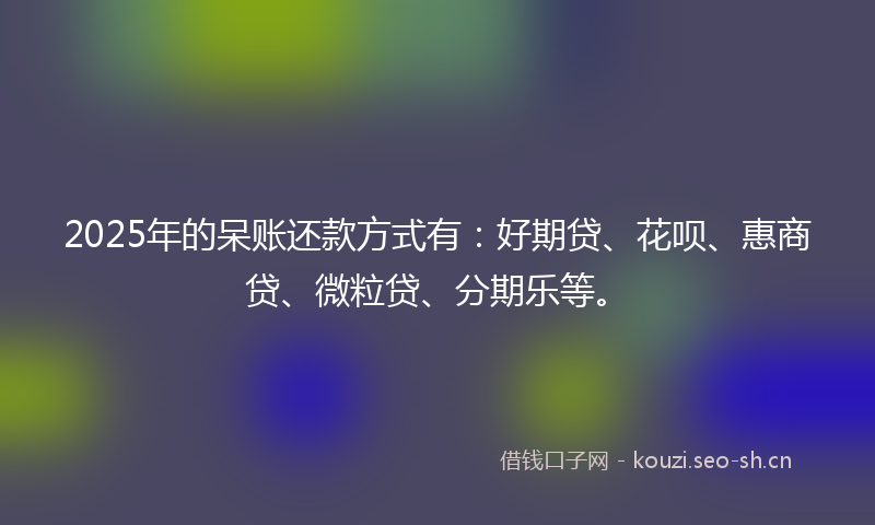 2025年的呆账还款方式有：好期贷、花呗、惠商贷、微粒贷、分期乐等。