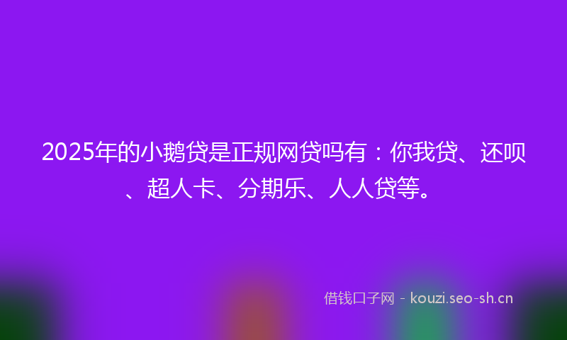 2025年的小鹅贷是正规网贷吗有：你我贷、还呗、超人卡、分期乐、人人贷等。