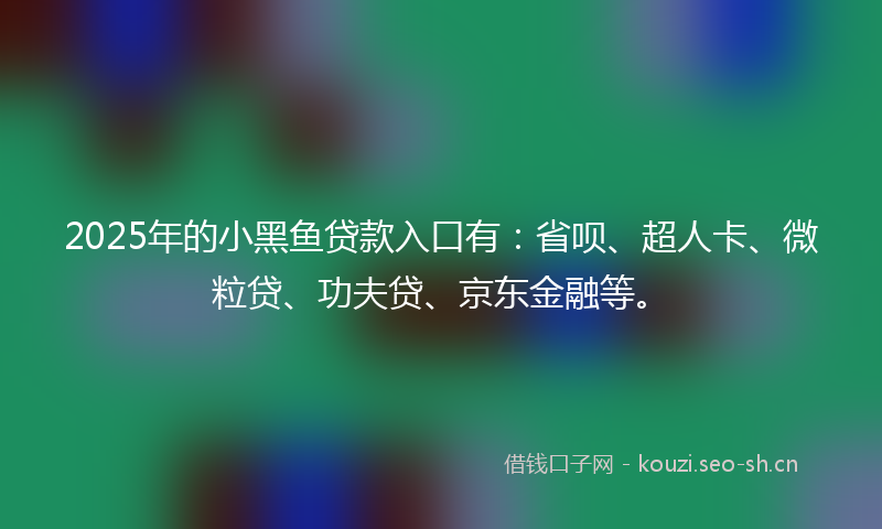 2025年的小黑鱼贷款入口有：省呗、超人卡、微粒贷、功夫贷、京东金融等。