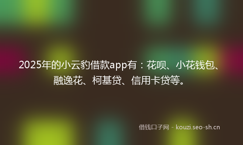 2025年的小云豹借款app有:花呗、小花钱包、融逸花、柯基贷、信用卡贷等。