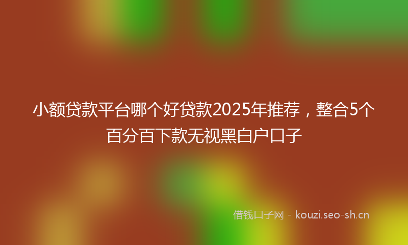 小额贷款平台哪个好贷款2025年推荐，整合5个百分百下款无视黑白户口子