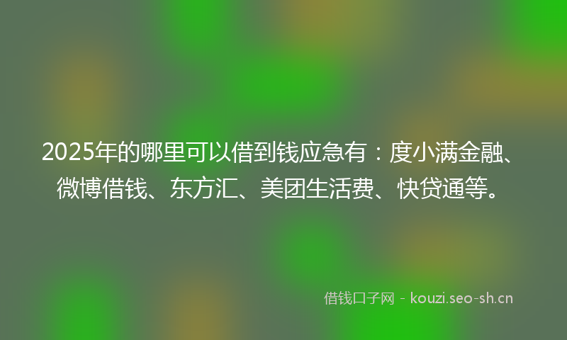 2025年的哪里可以借到钱应急有:度小满金融、微博借钱、东方汇、美团生活费、快贷通等。