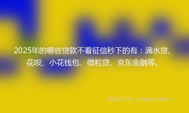 2025年的哪些贷款不看征信秒下的有：滴水贷、花呗、小花钱包、微粒贷、京东金融等。