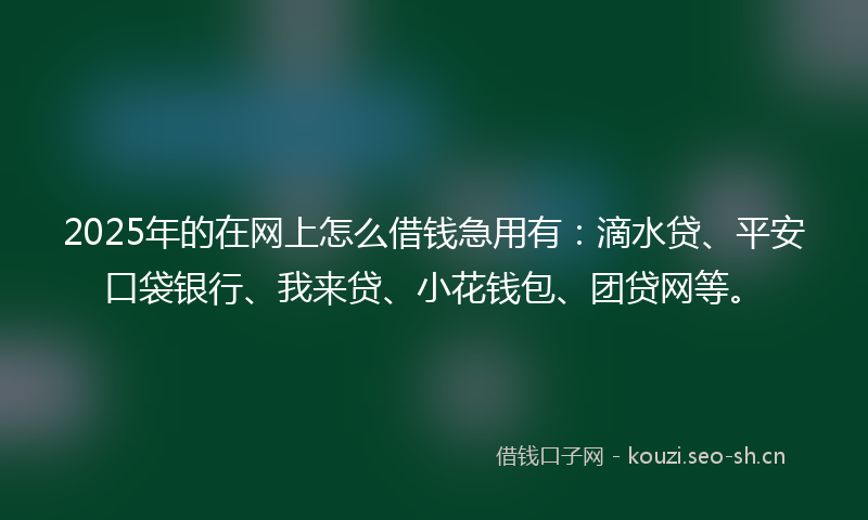 2025年的在网上怎么借钱急用有：滴水贷、平安口袋银行、我来贷、小花钱包、团贷网等。