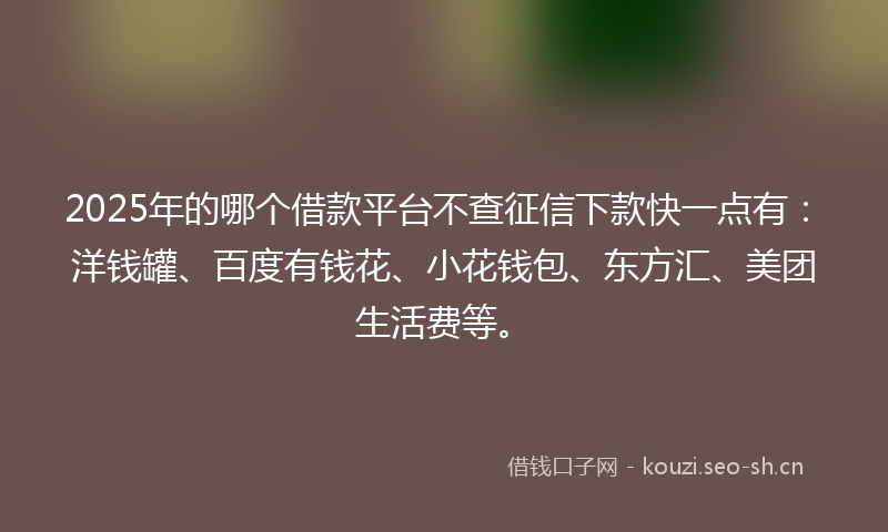 2025年的哪个借款平台不查征信下款快一点有：洋钱罐、百度有钱花、小花钱包、东方汇、美团生活费等。