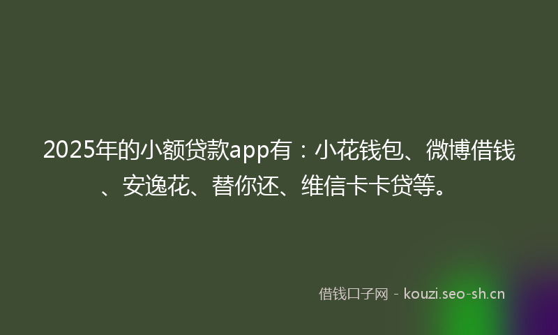 2025年的小额贷款app有：小花钱包、微博借钱、安逸花、替你还、维信卡卡贷等。