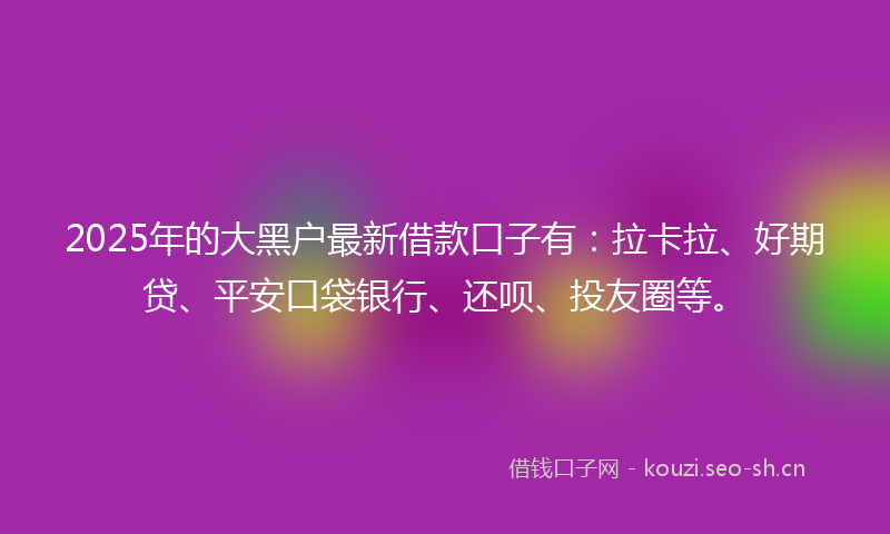 2025年的大黑户最新借款口子有：拉卡拉、好期贷、平安口袋银行、还呗、投友圈等。