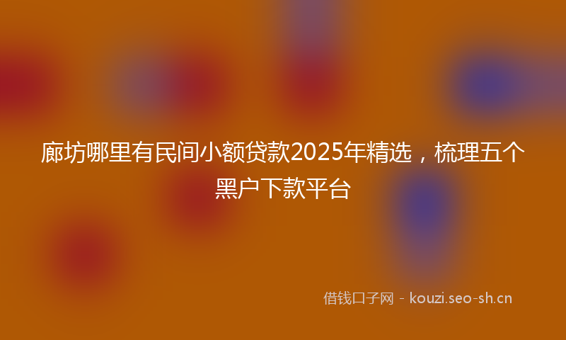 廊坊哪里有民间小额贷款2025年精选，梳理五个黑户下款平台