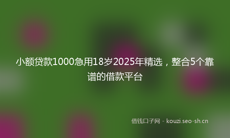 小额贷款1000急用18岁2025年精选，整合5个靠谱的借款平台