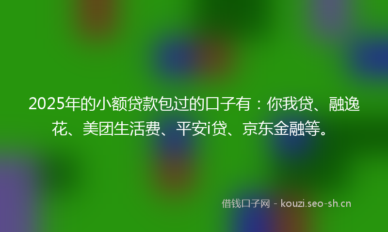 2025年的小额贷款包过的口子有：你我贷、融逸花、美团生活费、平安i贷、京东金融等。