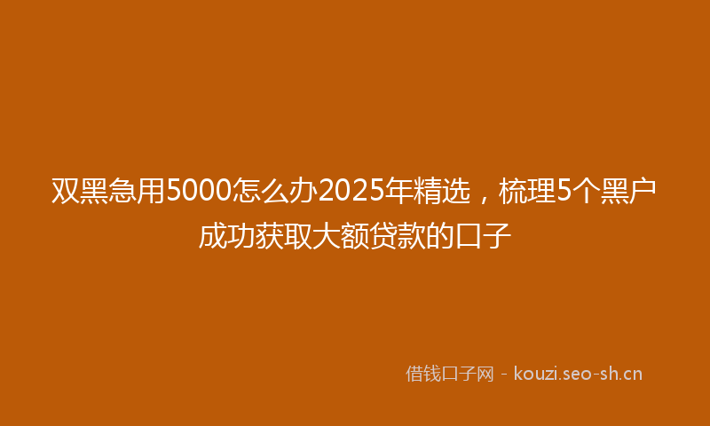 双黑急用5000怎么办2025年精选，梳理5个黑户成功获取大额贷款的口子