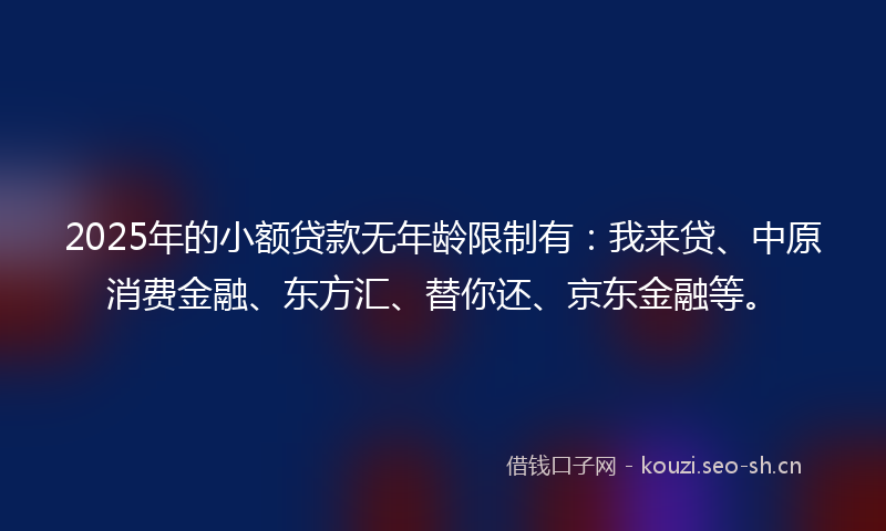 2025年的小额贷款无年龄限制有:我来贷、中原消费金融、东方汇、替你还、京东金融等。