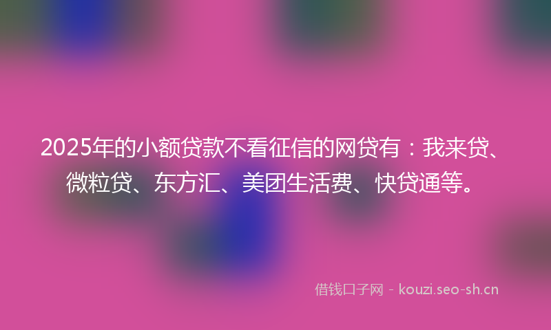 2025年的小额贷款不看征信的网贷有：我来贷、微粒贷、东方汇、美团生活费、快贷通等。