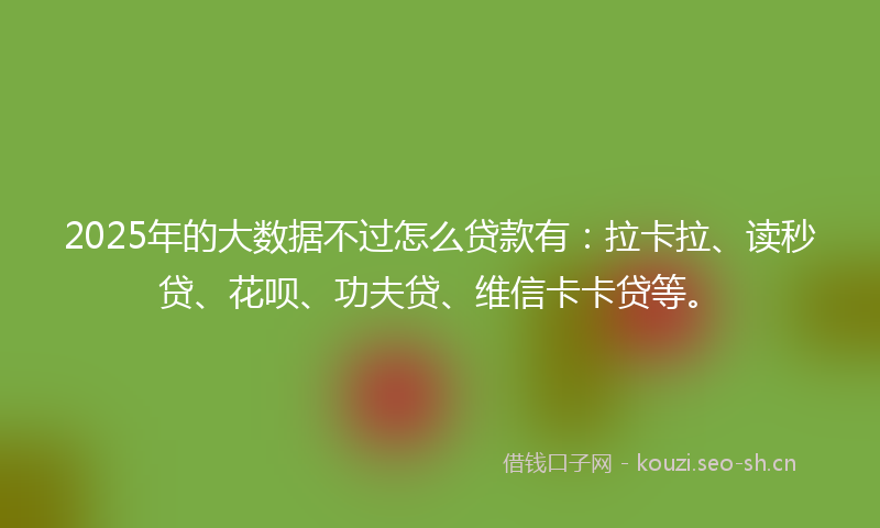 2025年的大数据不过怎么贷款有：拉卡拉、读秒贷、花呗、功夫贷、维信卡卡贷等。