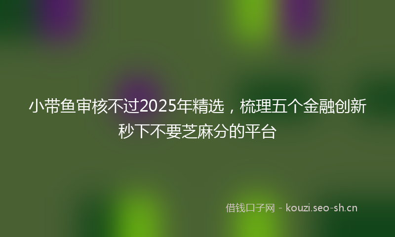 小带鱼审核不过2025年精选，梳理五个金融创新秒下不要芝麻分的平台