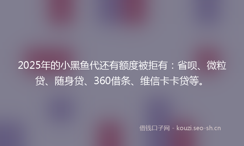 2025年的小黑鱼代还有额度被拒有:省呗、微粒贷、随身贷、360借条、维信卡卡贷等。