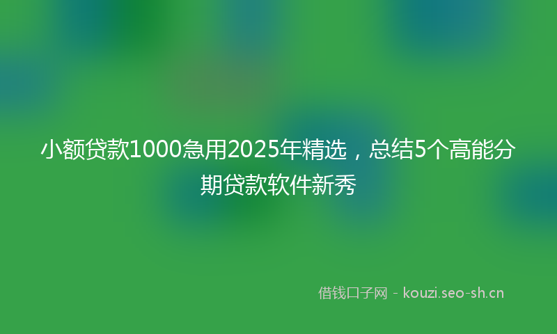 小额贷款1000急用2025年精选，总结5个高能分期贷款软件新秀