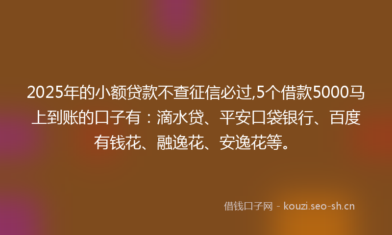 2025年的小额贷款不查征信必过,5个借款5000马上到账的口子有：滴水贷、平安口袋银行、百度有钱花、融逸花、安逸花等。