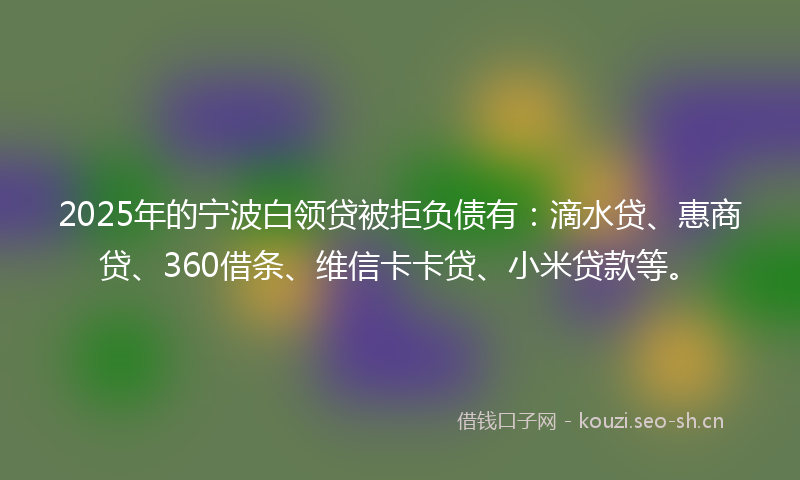2025年的宁波白领贷被拒负债有:滴水贷、惠商贷、360借条、维信卡卡贷、小米贷款等。