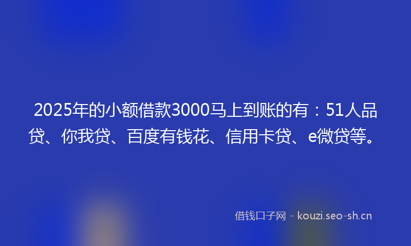 2025年的小额借款3000马上到账的有:51人品贷、你我贷、百度有钱花、信用卡贷、e微贷等。