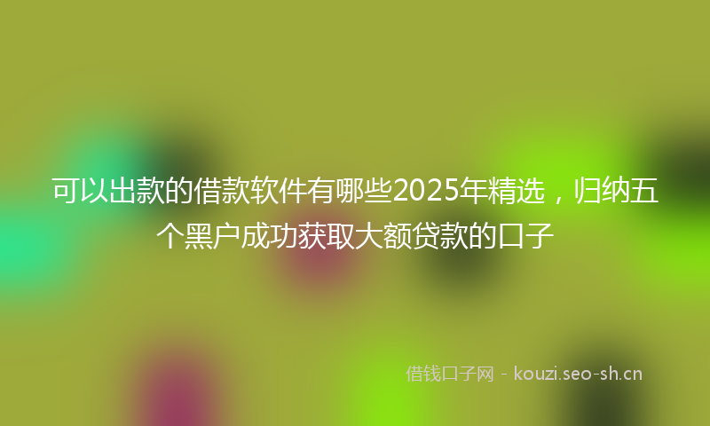 可以出款的借款软件有哪些2025年精选，归纳五个黑户成功获取大额贷款的口子