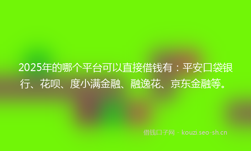 2025年的哪个平台可以直接借钱有：平安口袋银行、花呗、度小满金融、融逸花、京东金融等。