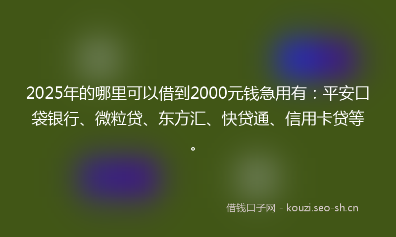 2025年的哪里可以借到2000元钱急用有：平安口袋银行、微粒贷、东方汇、快贷通、信用卡贷等。