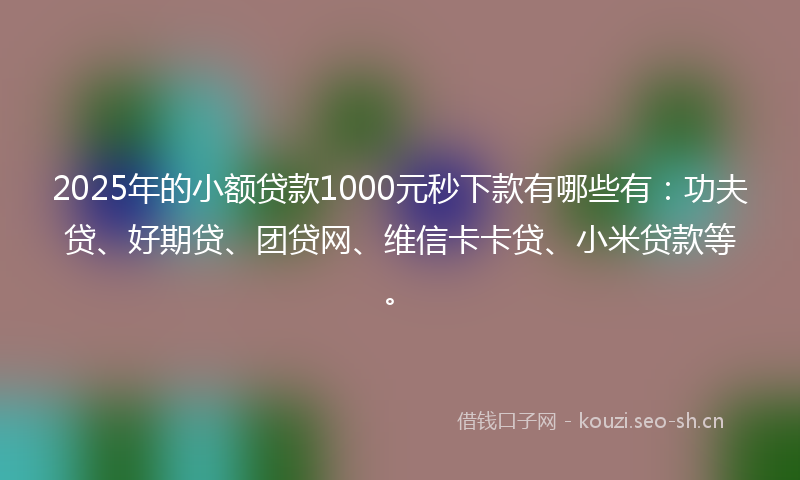 2025年的小额贷款1000元秒下款有哪些有：功夫贷、好期贷、团贷网、维信卡卡贷、小米贷款等。