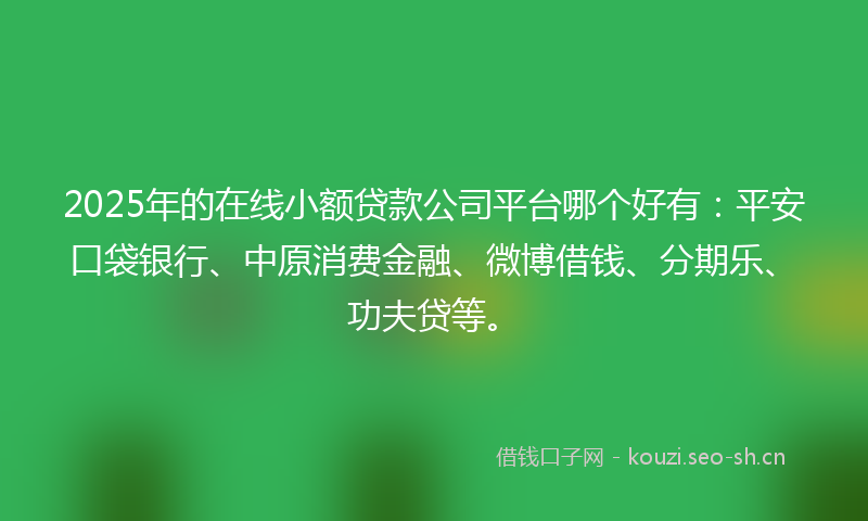 2025年的在线小额贷款公司平台哪个好有：平安口袋银行、中原消费金融、微博借钱、分期乐、功夫贷等。