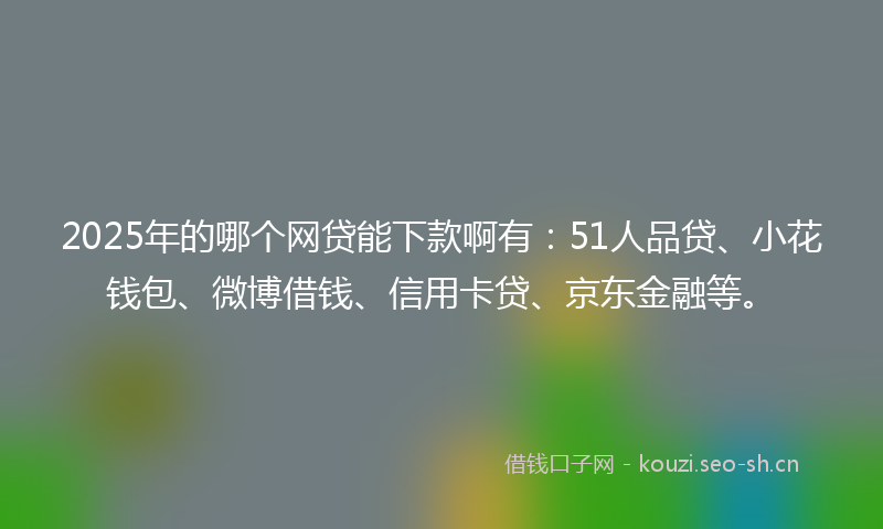 2025年的哪个网贷能下款啊有:51人品贷、小花钱包、微博借钱、信用卡贷、京东金融等。