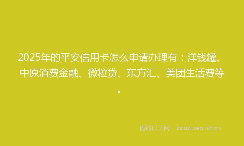 2025年的平安信用卡怎么申请办理有：洋钱罐、中原消费金融、微粒贷、东方汇、美团生活费等。