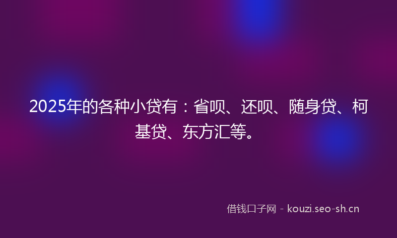 2025年的各种小贷有：省呗、还呗、随身贷、柯基贷、东方汇等。
