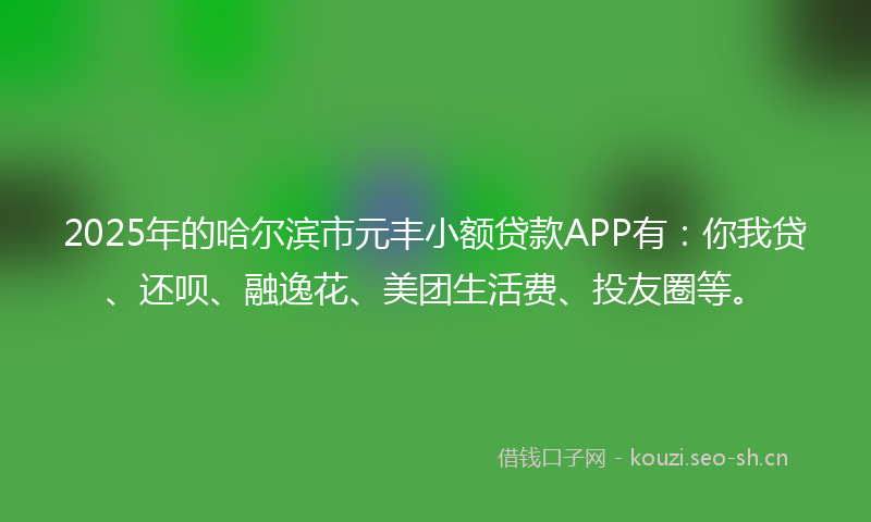 2025年的哈尔滨市元丰小额贷款APP有：你我贷、还呗、融逸花、美团生活费、投友圈等。