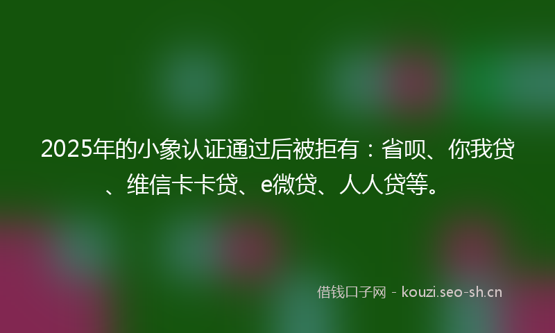 2025年的小象认证通过后被拒有:省呗、你我贷、维信卡卡贷、e微贷、人人贷等。