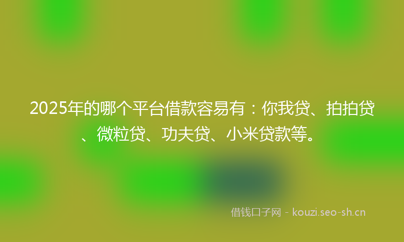 2025年的哪个平台借款容易有：你我贷、拍拍贷、微粒贷、功夫贷、小米贷款等。